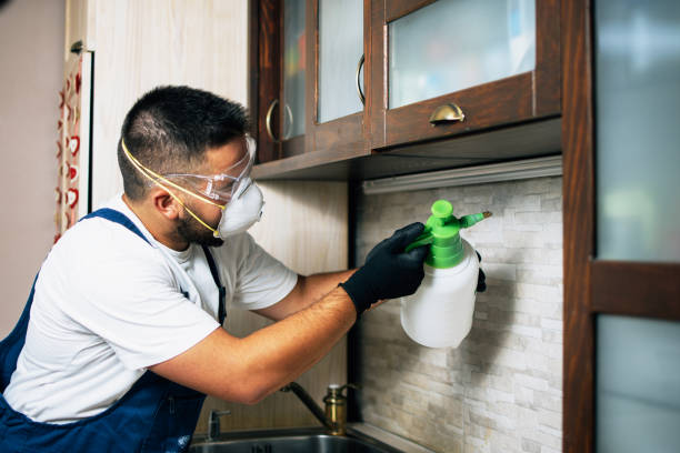 Best Best Pest Control Companies  in Grand Mound, WA