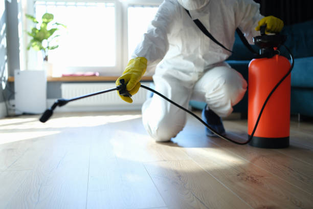 Best Local Pest Control Services  in Grand Mound, WA