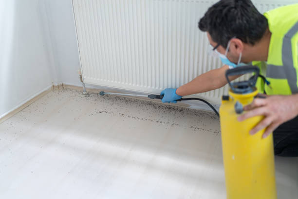 Best Flea Control Services  in Grand Mound, WA