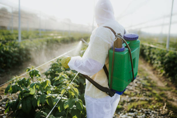 Best Mosquito Control Services  in Grand Mound, WA